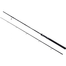 Energofish EnergoTeam Wizard Active Spin MH 2,1 m 20-50 g 2 díly