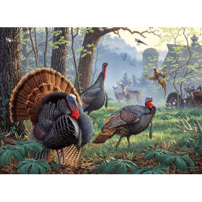 SunsOut - Puzzle Larry Zach - Old Tom's Farm - 1 000 piese