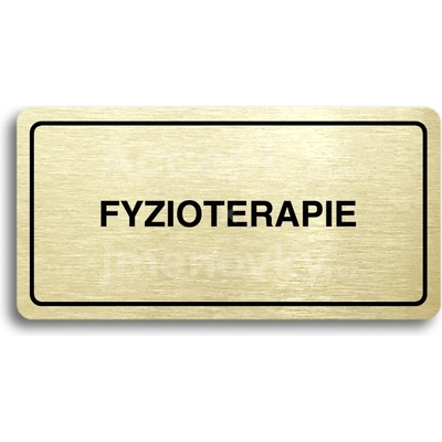 ACCEPT Piktogram FYZIOTERAPIE - zlatá tabulka - černý tisk