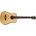Cort Earth Mini E Adirondack