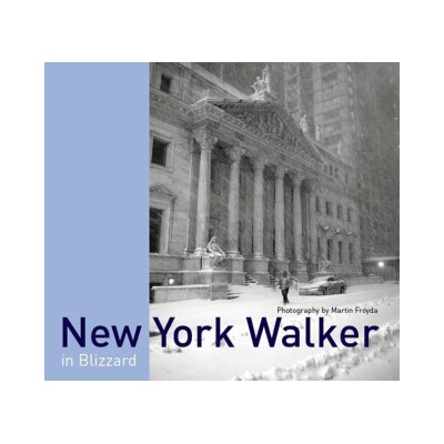 New York Walker in Blizzard (anglicky) - Martin Froyda