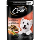 Cesar hovädzie a zelenina 24 x 100 g