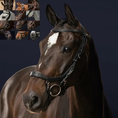 PresTeq Uzdečka FaySport anatomická černá – Zboží Dáma