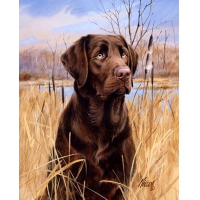 Figuered ART malování podle čísel LABRADOR