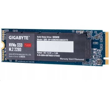Gigabyte 256GB, GP-GSM2NE3256GNTD