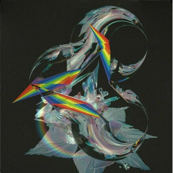 Image 1 of Björk - The Gate (12" Vinyl) (5016958087951)