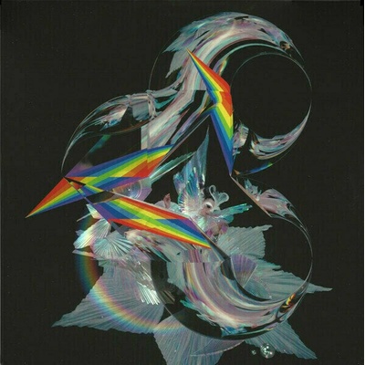Björk - The Gate (12" Vinyl) (5016958087951)