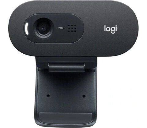 Logitech C505 HD Webcam