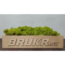 Stabilizovaný mach - Nórsky lišajník - lime green ( limetkovo zelený ) 1kg