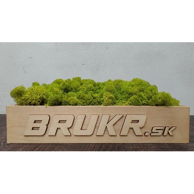 Stabilizovaný mach - Nórsky lišajník - lime green ( limetkovo zelený ) 15Kg