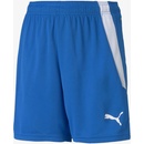 Puma TEAMLIGA shorts JR