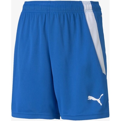 Puma TEAMLIGA shorts JR