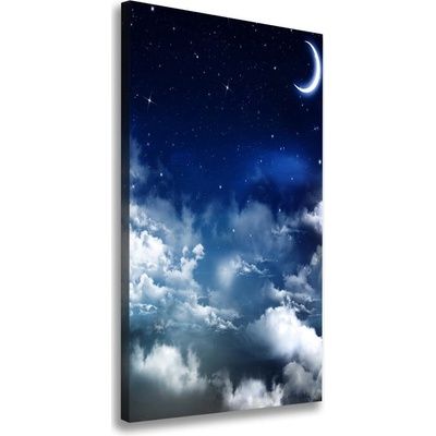 Vertikálny foto obraz na plátne Hviezdne nebo 50x100 cm