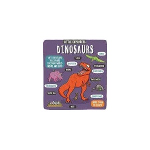 Little Explorers: Dinosaurs | DYNAMO LTD (ISBN: 9781783708154)