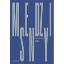 Medzisny