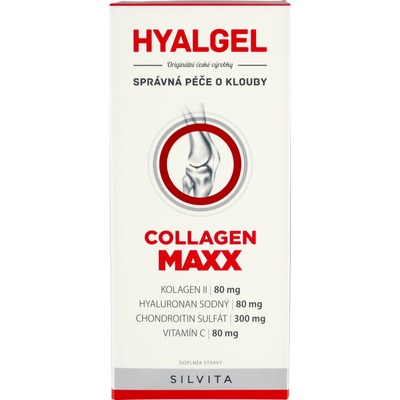 Hyalgel Collagen MAXX 500 ml