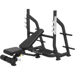 Evolve Fitness EC-117