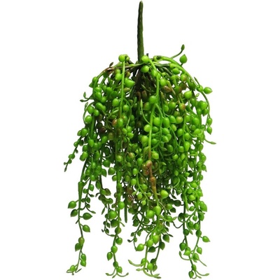 Starček - Senecio Rowleyanus zelený V25 cm