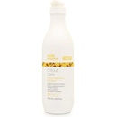 Milk Shake Colour Care Maintainer Shampoo 1000 ml