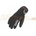 Lindstrands COAL