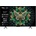 TCL 50C6K