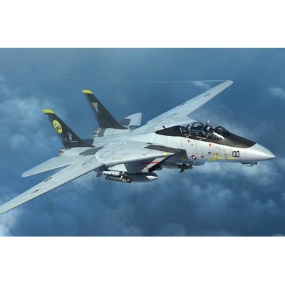 Trumpeter F-14D Tomcat 03919 1:144