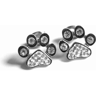 Steel Jewelry náušnice tlapky s krystalky z chirurgické oceli NS151108
