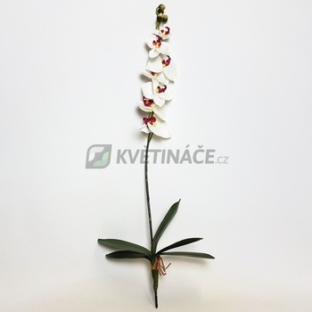 Umělá Orchidej Creme 55cm