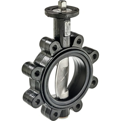 Belimo D6100WL