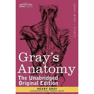 Gray's Anatomy | Henry Vandyke Carter (ISBN: 9781616404697)