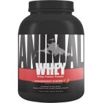 Universal Nutrition Animal Whey | Isolate Loaded Whey [2270 грама] Ягода