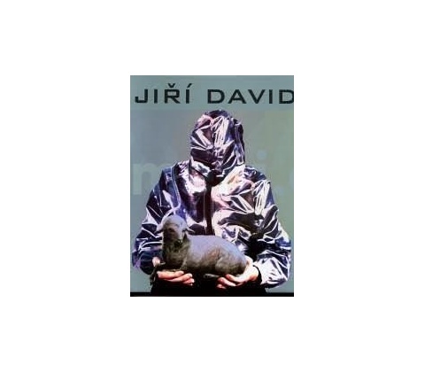 Jiří David