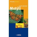 Motýli