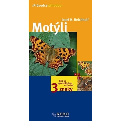 Motýli