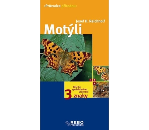 Motýli