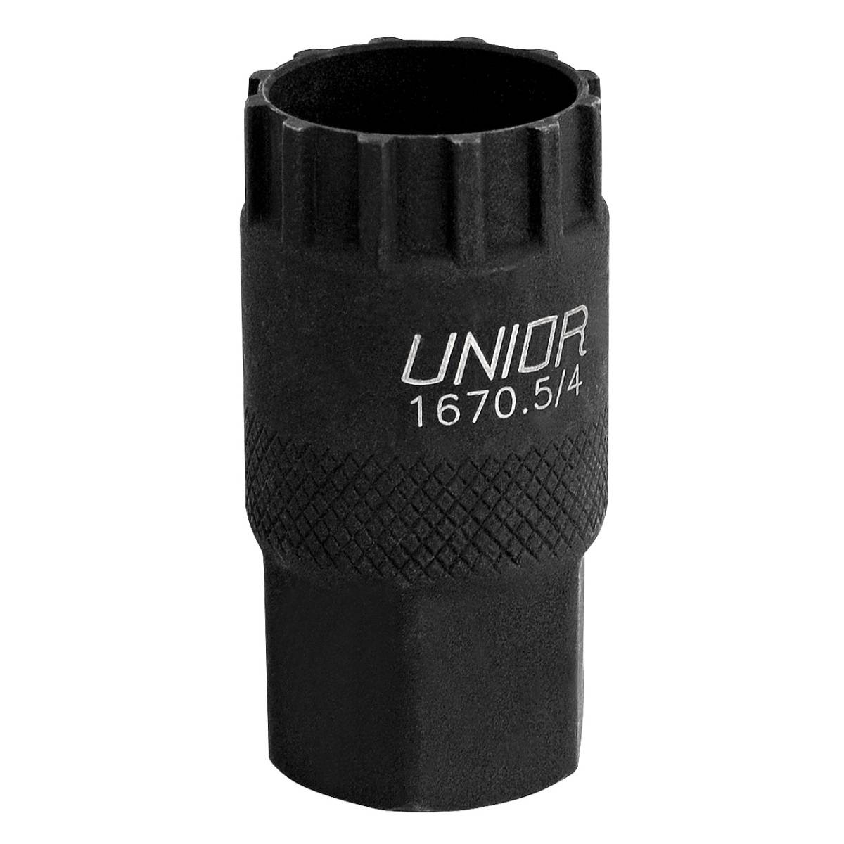 トランス インプット UTC – WEC5 商品紹介（Picture Items） UTC 
