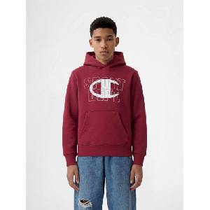 Champion Суитшърт Hooded Sweatshirt (307253-RS508)