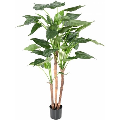 Luxusní umělá rostlina ALOCASIA CUCULLATA 3 KMENY, 110cm