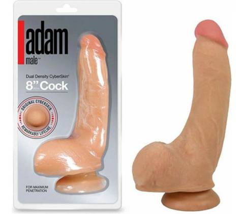 Adam Male