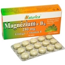 Naturica Magnezium 250 mg B 6 ginkgo Vitamín E 30 tabliet