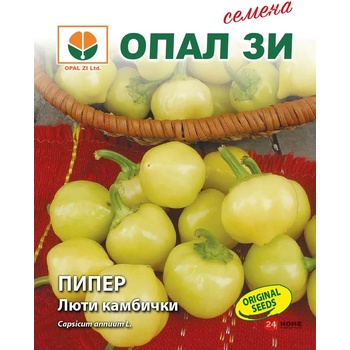 Image 1 of Opal Zi Пипер Люти камбички