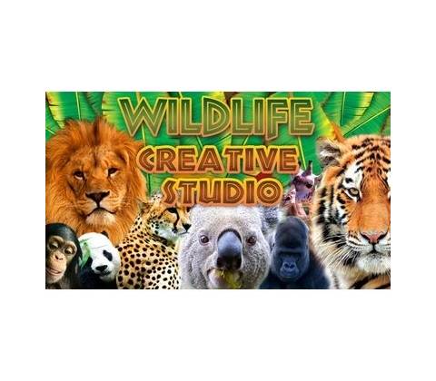 The Wildlife Creative Studio