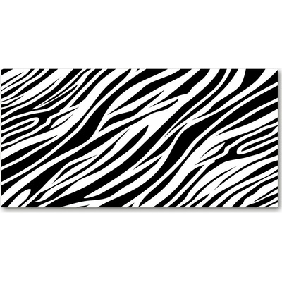 Foto obraz sklo tvrzené Zebra pozadia 100x50 cm