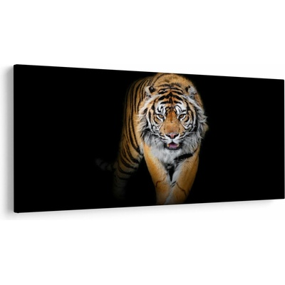 Obraz - Tiger, jednodielne 200x100 cm