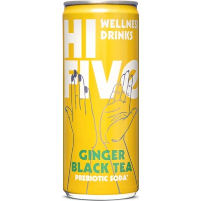 Yaya kombucha Hi-Five Prebiotická sóda čierny čaj a zázvor BIO 330 ml