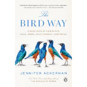 Bird Way | Ackerman, Jennifer (ISBN: 9780735223035)