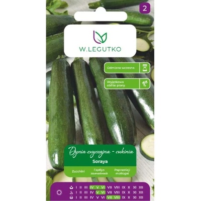 W. Legutko Обикновена тиква - Тиквичка Сорая - тъмнозелена