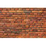 DIMEX ART Флизелинов фототапет детайл от тухлена текстура 375 x 250 см