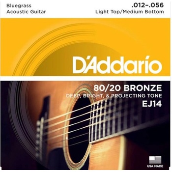 DAddario EJ14