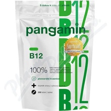 Pangamin B12 200 tabliet